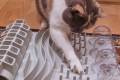 slider_mobile-tierpflegerin026